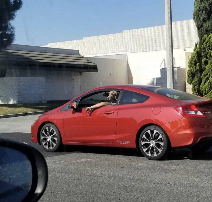 Фотоподборка 