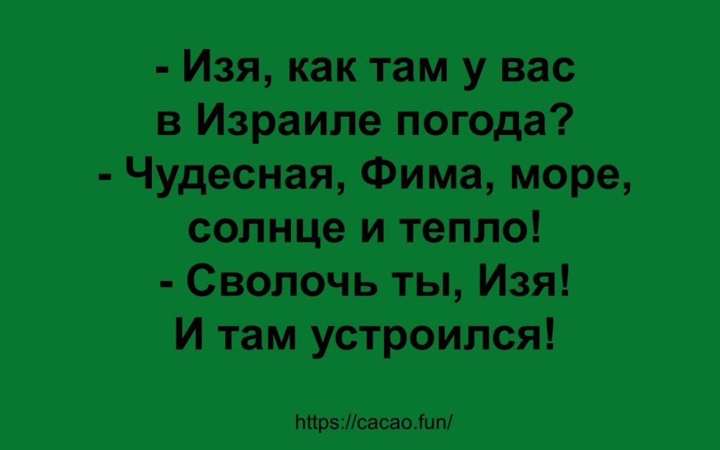 Подборка анекдотов, которая подарит вам настроение 