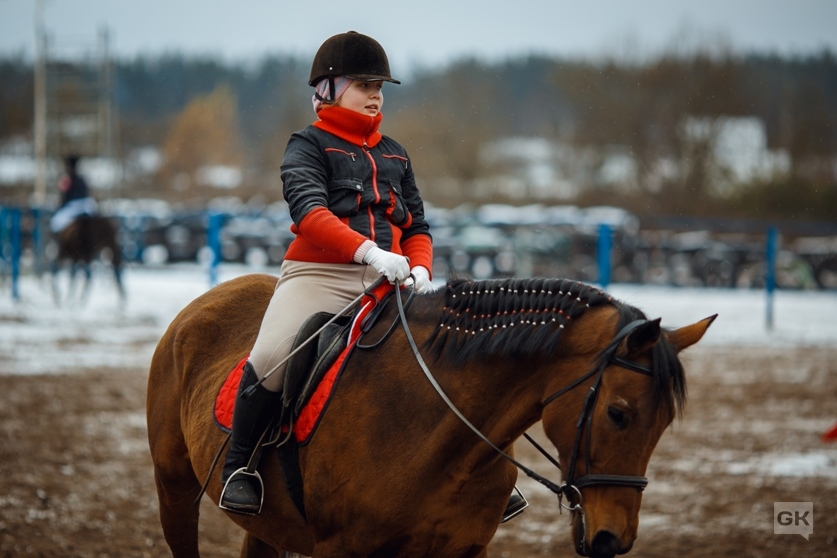 Прадар конный клуб