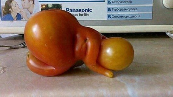 Когда природа тоже любит пошутить Когда природа тоже любит пошутить