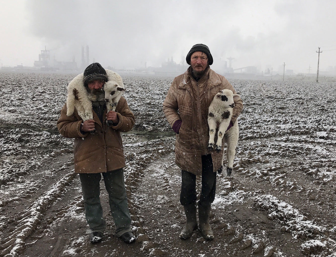 Трансильванские пастухи