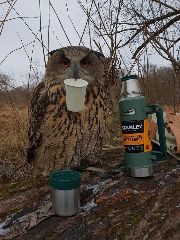 Фотоподборка 