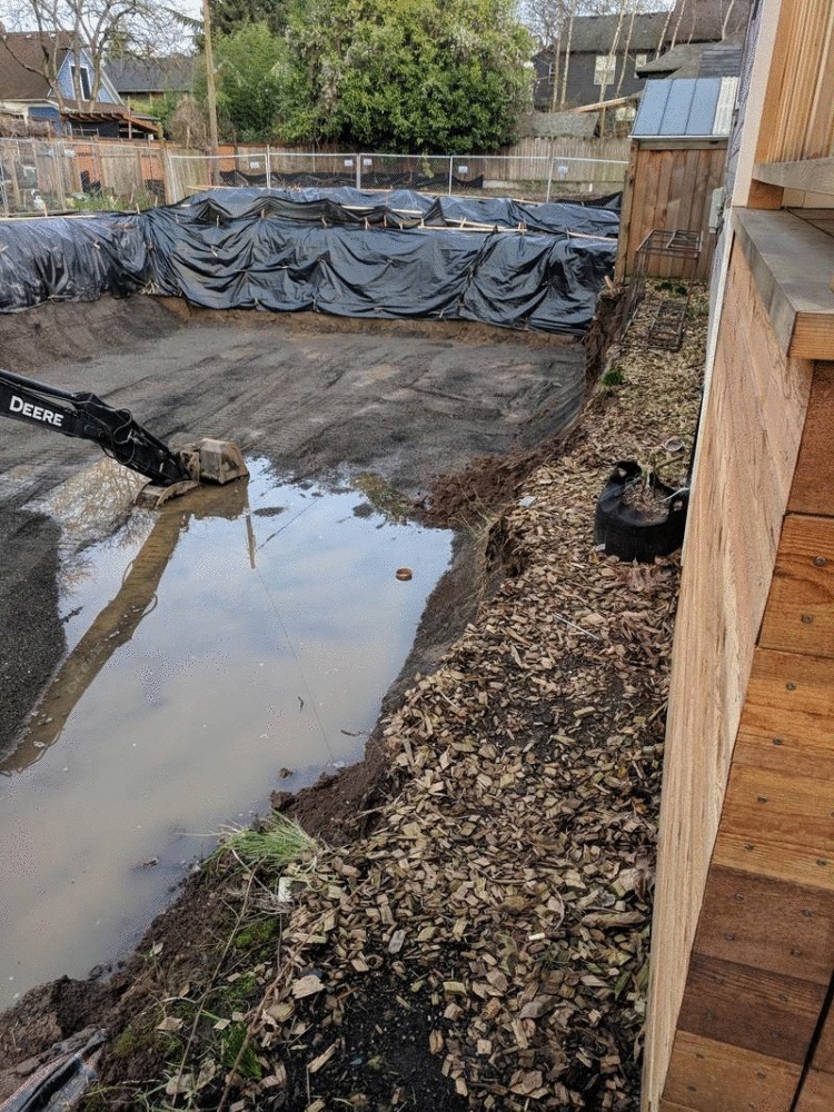 Жизненные примеры настоящей вражды между соседями 