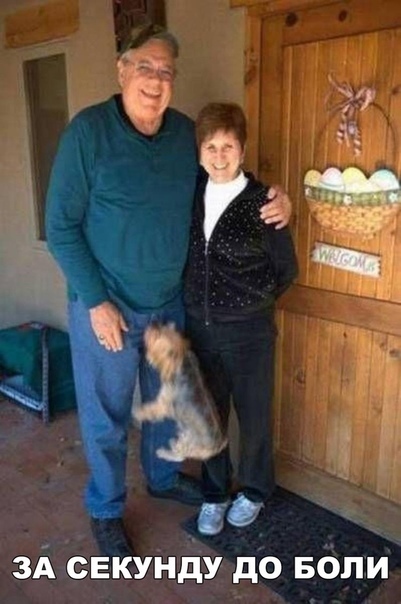 Забавные фотографии с прикольными надписями из нашей жизни 