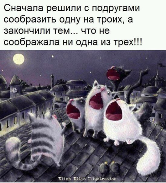 Утро понедельника в животном саду веселые картинки,животные,позитив,Смешные животные