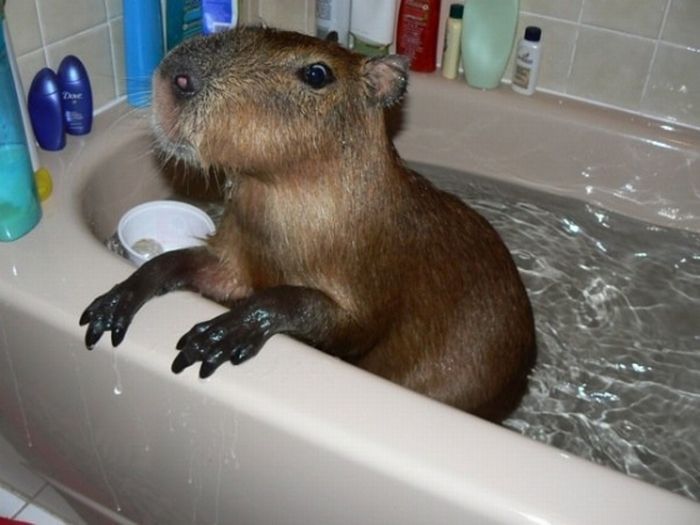 Давайте улыбаться вместе! :) №270114