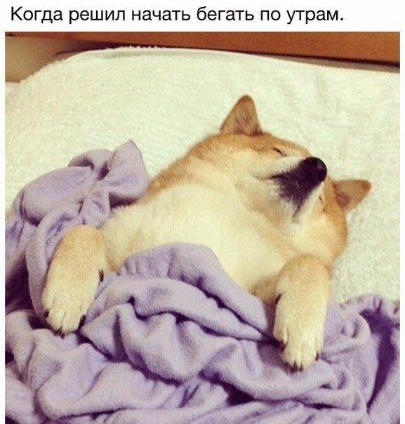 Прикольные и веселые надписи к картинкам со смыслом Прикольные и веселые надписи к картинкам со смыслом Смешные картинки с надписями до слез