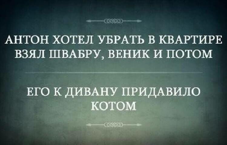 Подборка метких высказываний, которые подарят вам позитивный настрой 