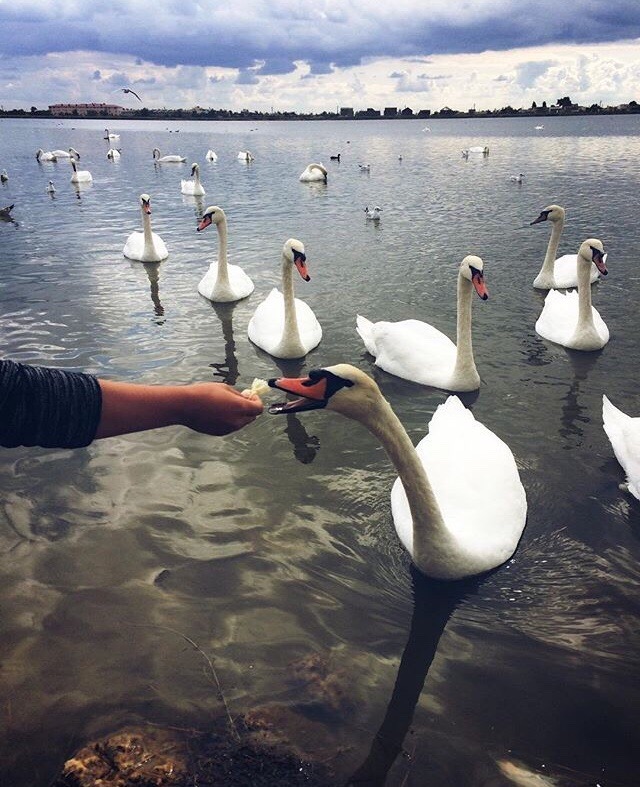 Классные и прикольные фотографии Классные и прикольные фотографии красивые фотографии,прикольные картинки,шикарные фотографии