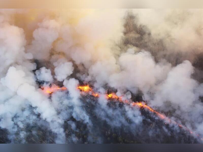 За последние 10 дней в Забайкалье произошло более 50 лесных пожаров