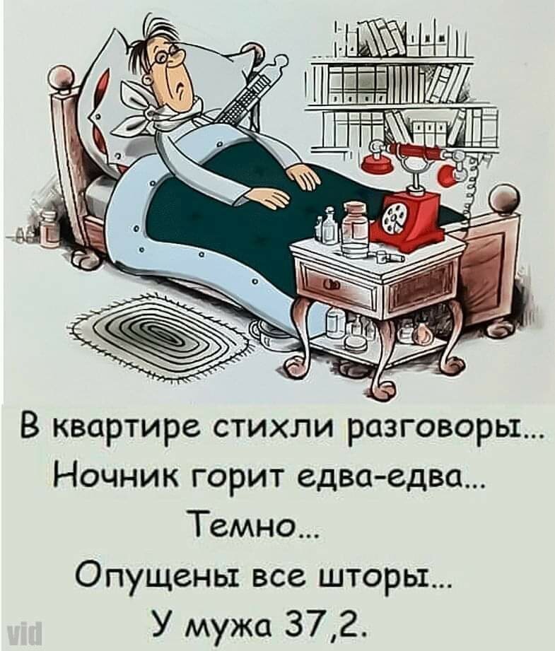 Подборка интересных и веселых картинок №28 отдых