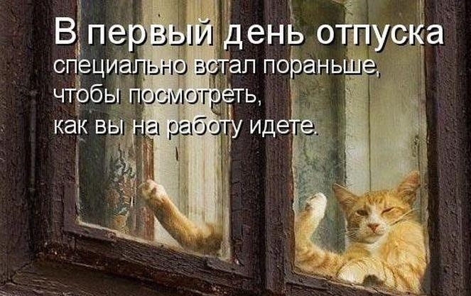 Отпуск... Воронежская обл,[563094]