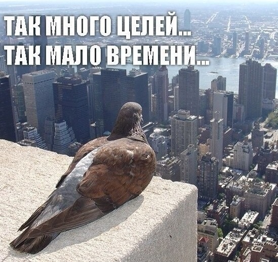 Почему до сих пор никто не пишет номер транспорта внутри? Вы думаете я такой уверенный куда я сел? Почему до сих пор никто не пишет номер транспорта внутри? Вы думаете я такой уверенный куда я сел? веселые картинки,приколы,юмор