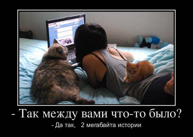 Подборка веселых и забавных демотиваторов из сети демотиваторы свежие,смешные демотиваторы,юмор