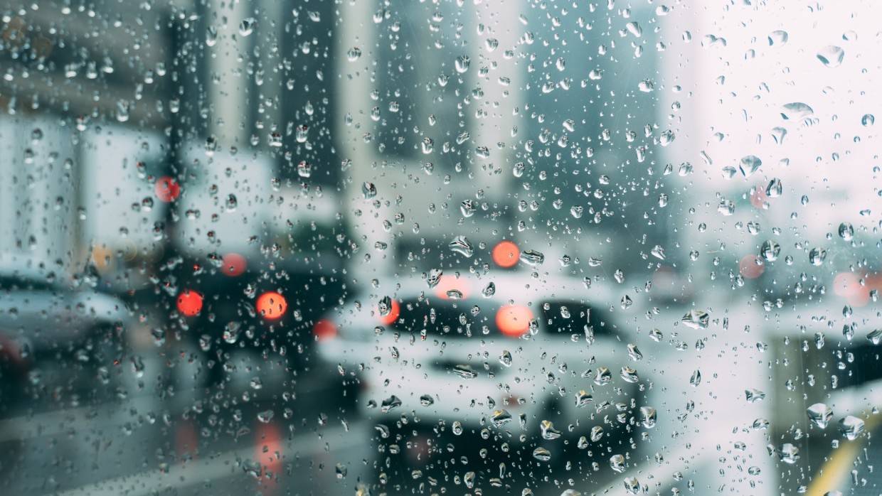 Ведущий специалист центра погоды «Фобос» Леус предупредил о дождях в Петербурге 17 октября