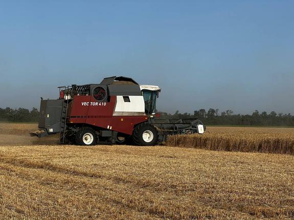 За первую неделю жатвы на Кубани собрали более 2 млн тонн зерновых