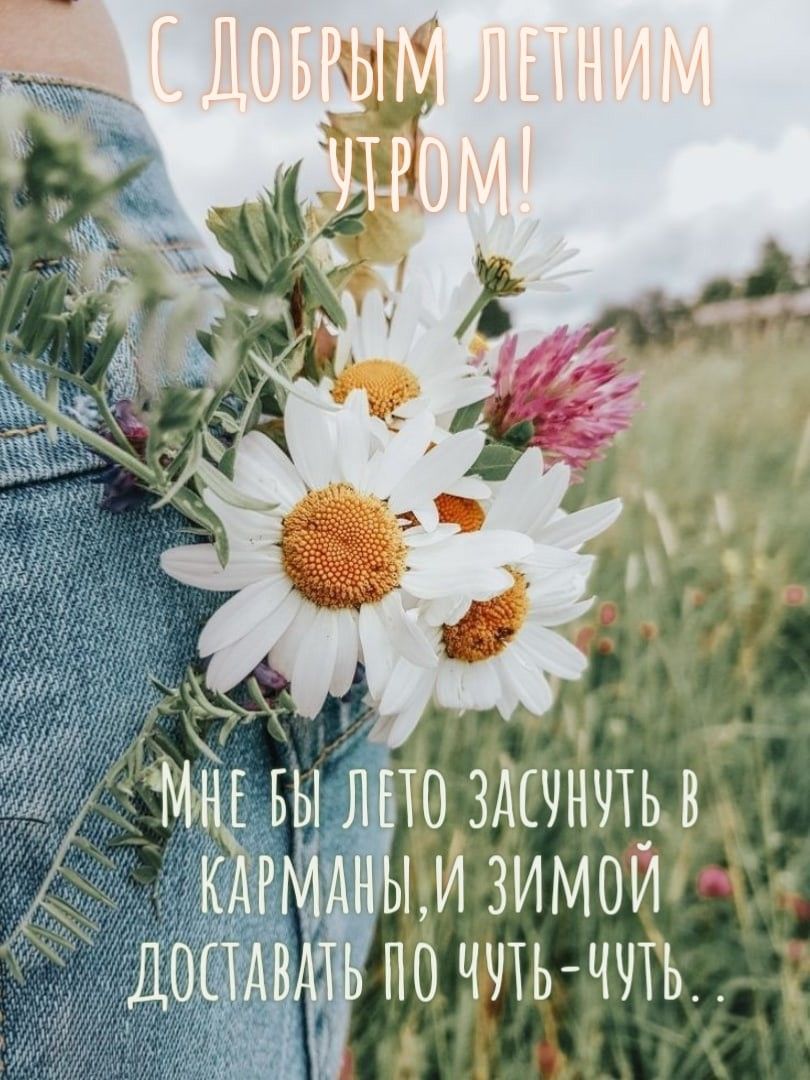 Веселые истории о нас Веселые истории о нас