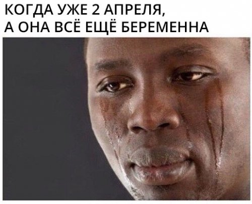 Весёлые фотомемы Весёлые фотомемы