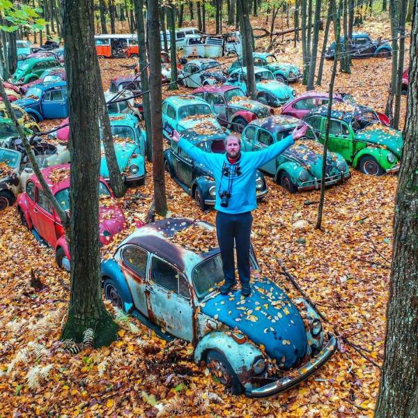 Подборка прикольных картинок  приколы,смешные картинки,юмор