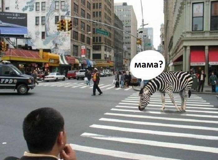 Давайте улыбаться вместе! :) №270114