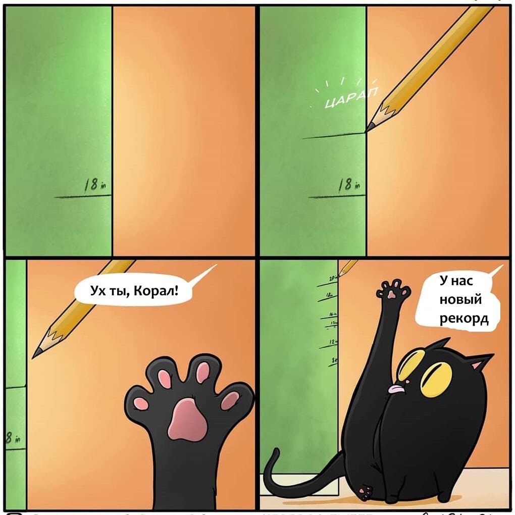 12 комиксов, доказывающих, что жизнь с котом – это настоящее испытание котики,юмор