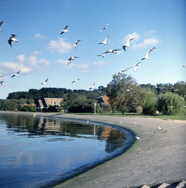 СССР, который мы потеряли 