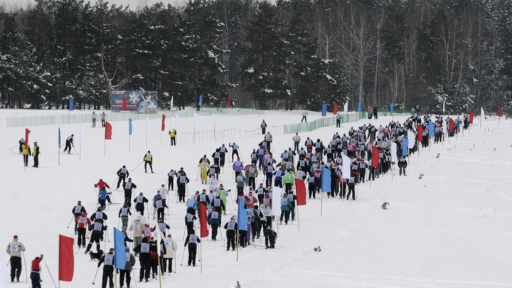 Шибаловская лыжня-2023 в Кольчугино: что в программе