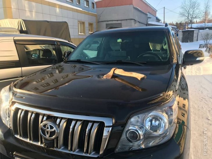 Неудачный денёк 