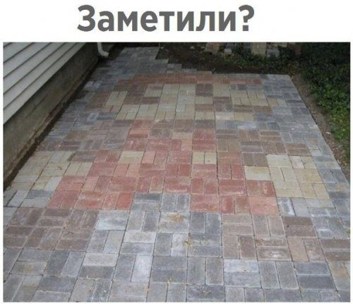 Самые прикольные фотомемы дня!