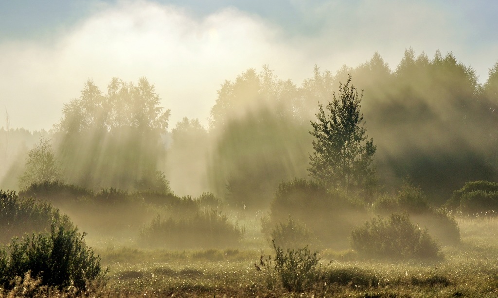 Земля так несравненно хороша! Земля так несравненно хороша! природа