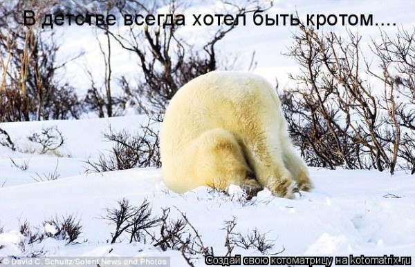 Мысли вслух :)