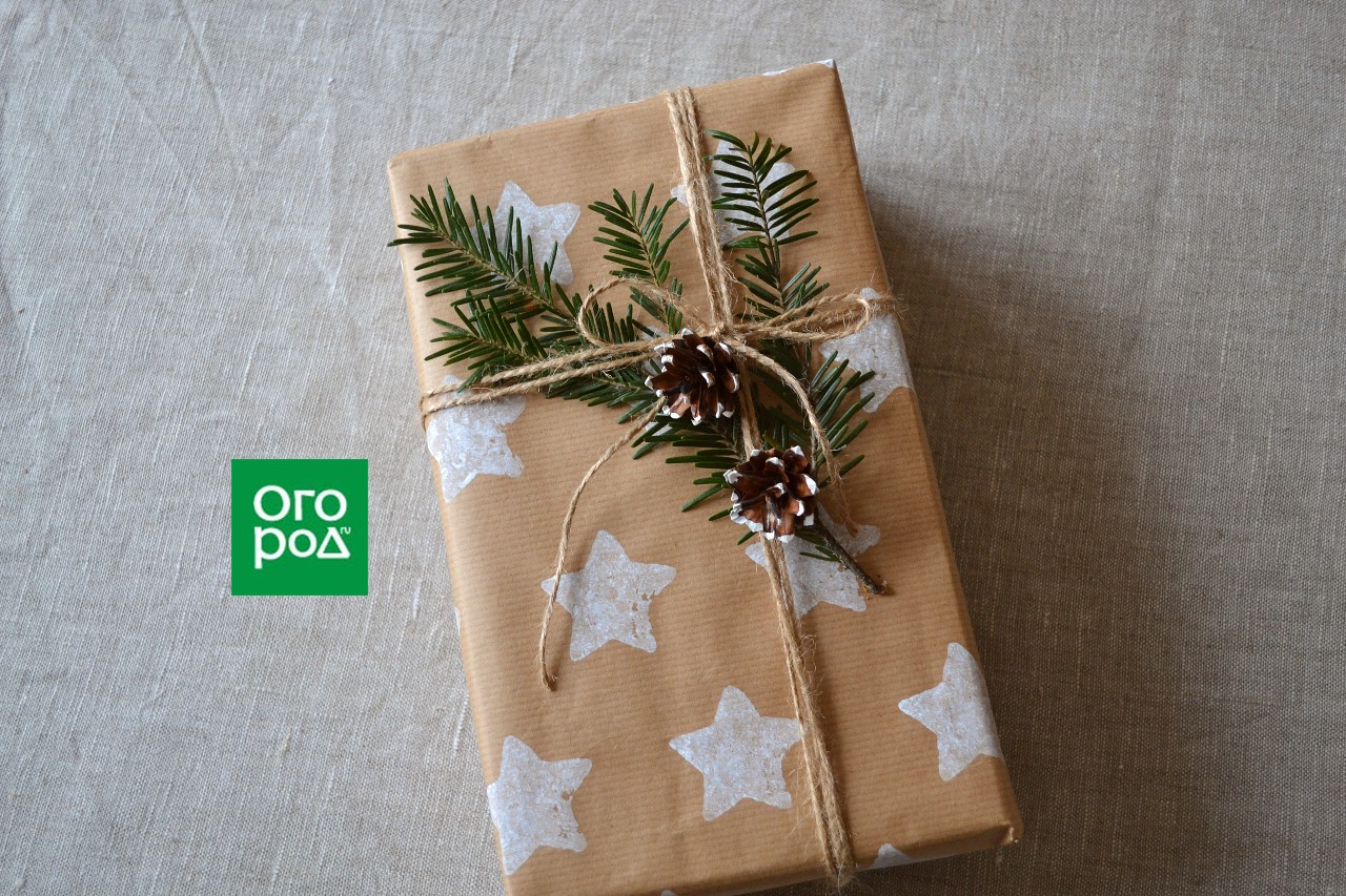 Оригинальная упаковка новогоднего подарка за 15 минут – мастер-класс с фото рисунок, использовать, упакованный, немного, бумаге, магазине, результат, можно, вырезки, мытья, краски, подарка, подарком, формочку, клубня, получится, отпечатайте, картофелины, понастоящему, используете