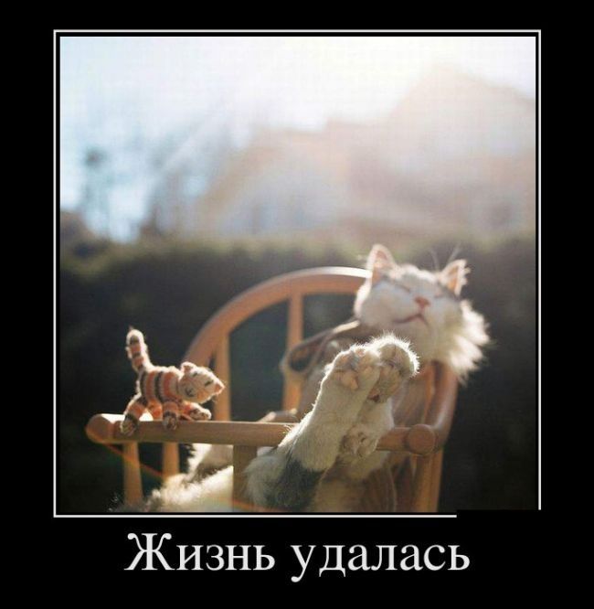 Подборка веселых и забавных демотиваторов из сети демотиваторы свежие,смешные демотиваторы,юмор