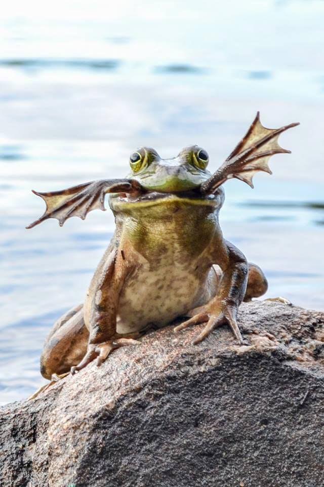 20 сцен из мира природы, которые пугают и впечатляют одновременно 20 сцен из мира природы, которые пугают и впечатляют одновременно интересное,природа,фотография