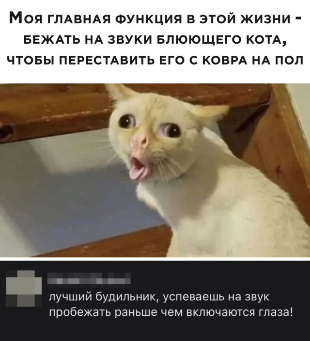 Подборка прикольных картинок  приколы,смешные картинки,юмор