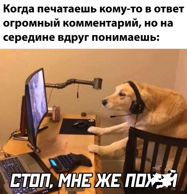 Подборка картинок. Вечерний выпуск Подборка картинок. Вечерний выпуск приколы,смешные картинки,юмор