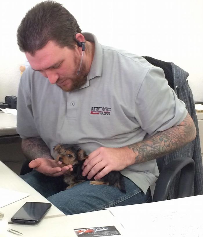 Vet Friend Brought Her By To Visit At Work. Then Said She's Looking For A Home