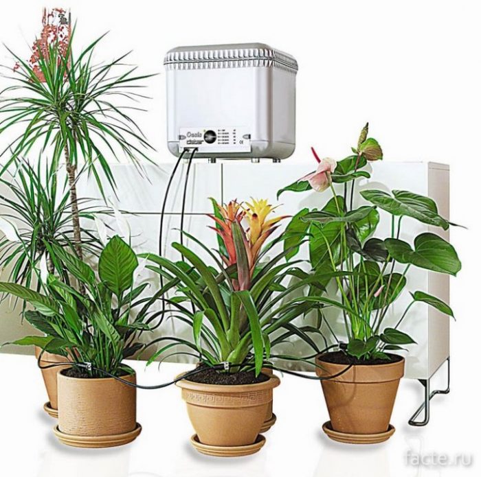 Полезные гаджеты для комфорта летом Полезные гаджеты для комфорта летом гаджеты