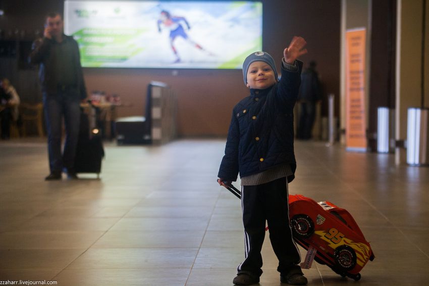 аэропорт, Кинолог, собака, Екатеринбург