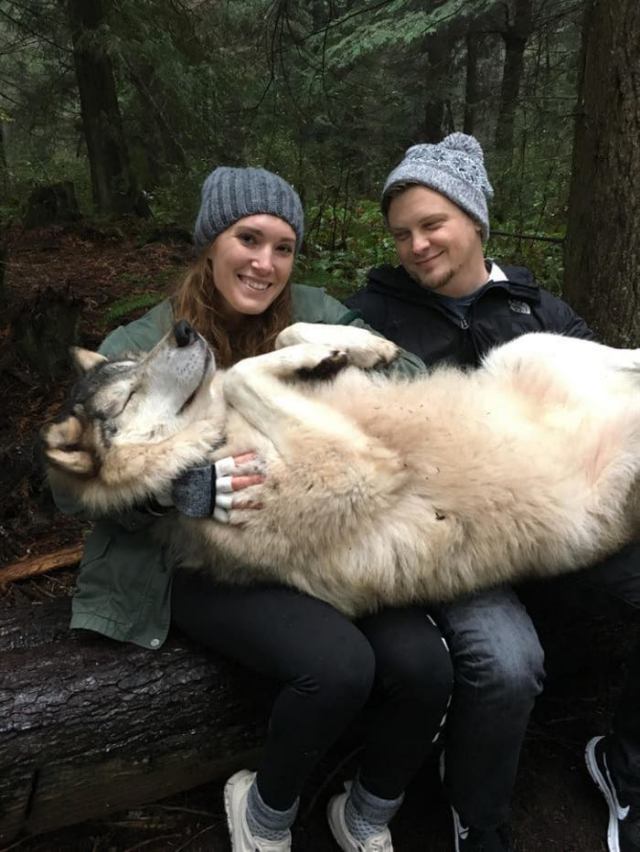 Фотографии, которые доказывают, что собака — настоящий лучик света в нашей непростой жизни зверюшки,позитив,собаки