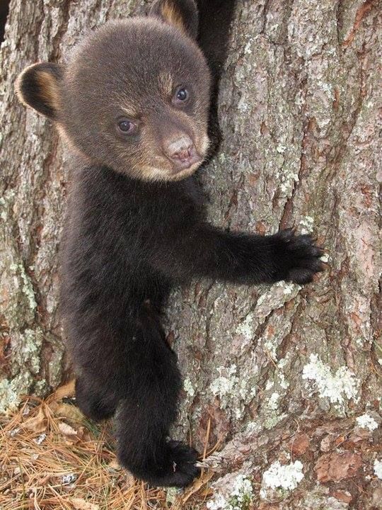 Прикольные, смешные и забавные фотографии из нашей жизни Прикольные, смешные и забавные фотографии из нашей жизни картинки с надписями,приколы,смешные картинки,угарные фотки