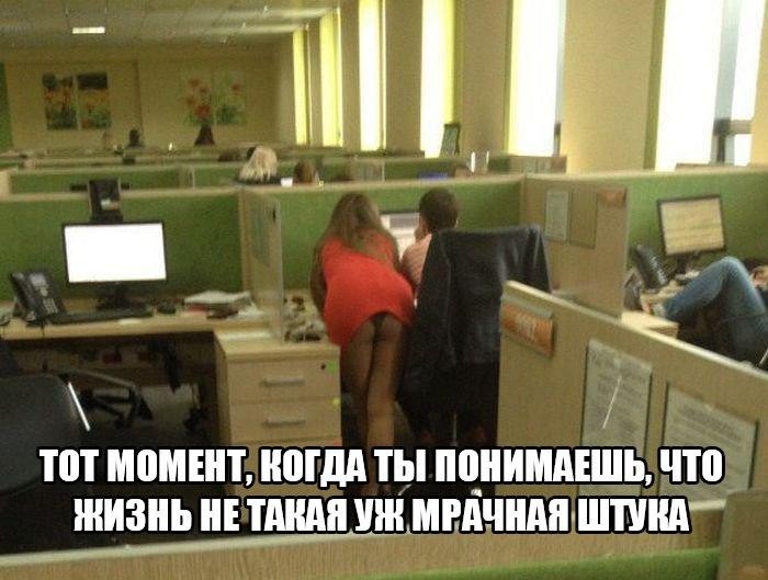 Смешные картинки с надписями прикол, юмор