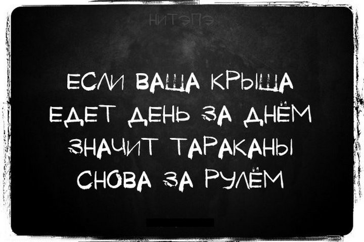 Смешные картинки поехала крыша