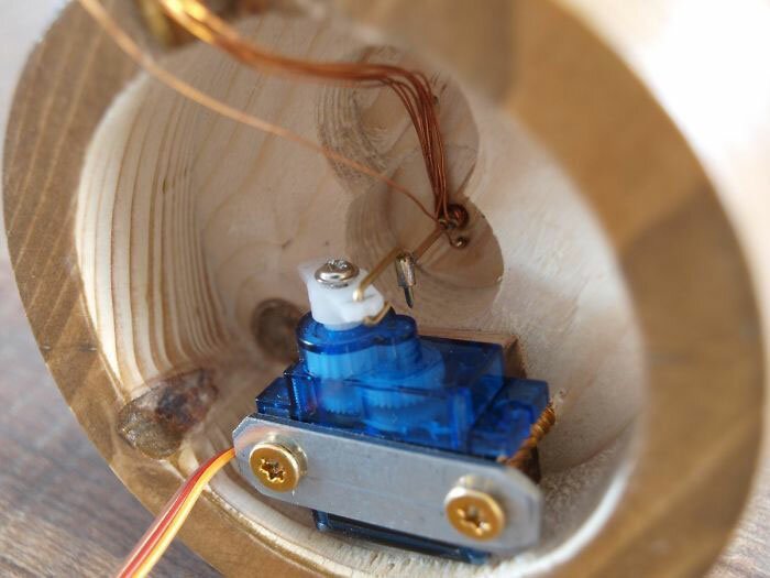 Парень подарил жене механический цветок, который расцветает при касании Парень подарил жене механический цветок, который расцветает при касании мужское хобби