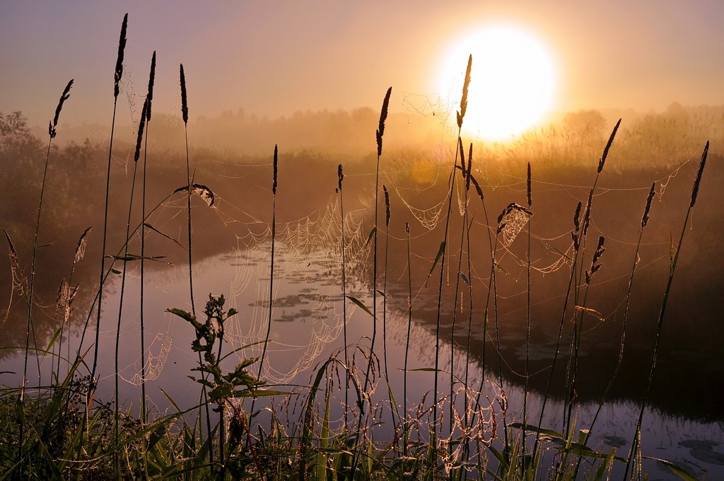 Земля так несравненно хороша! Земля так несравненно хороша! природа