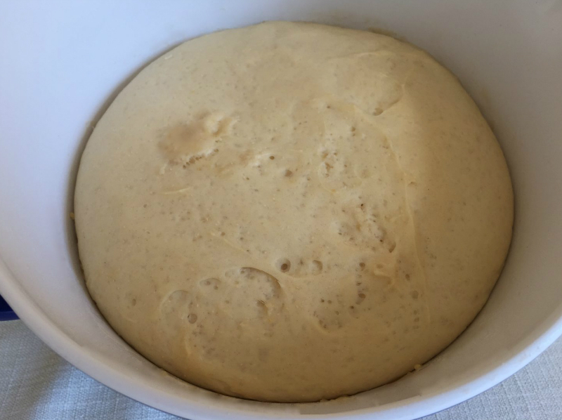 Немецкий сливовый пирог выпечка,кулинария,сладкая выпечка