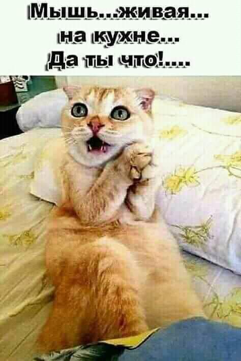 В наше время провинившихся детей родители ставят в угол, в котором хуже всего ловит wi-fi анекдоты