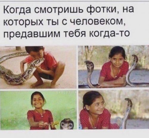Самые прикольные фотомемы дня!