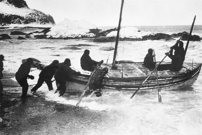 69 съеденных собак и один вкусный корабельный кот: история Имперской трансантарктической экспедиции