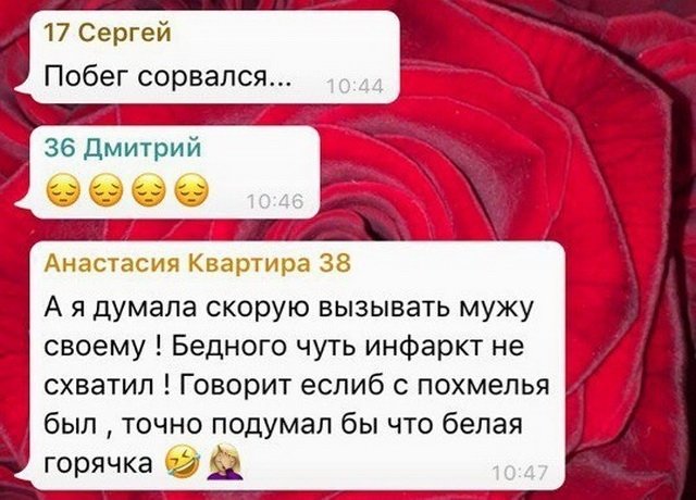 Но потом кому-то стало уже не так смешно, потому что Шира появилась на 11 этаже. животные, жизнь, люди